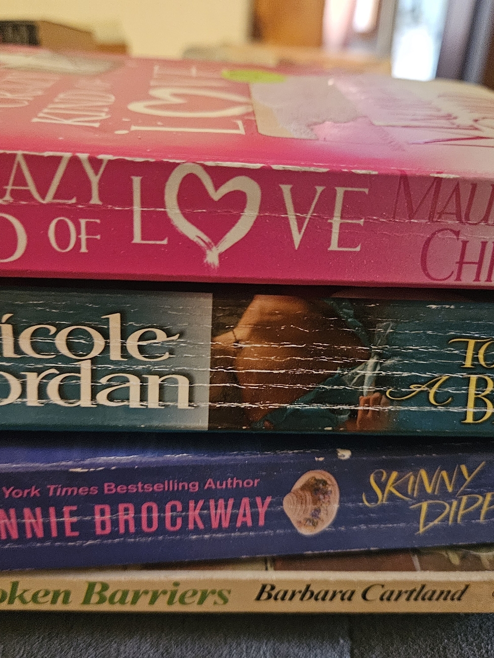 Nundle Of 4 Adult Fiction Books